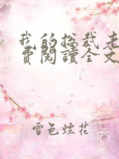 我的总裁老婆免费阅读全文