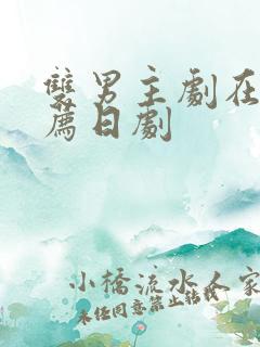 双男主剧在线推荐日剧