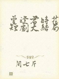 曾逢君时花照眼短剧大结局