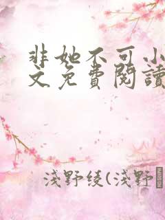 非她不可小说全文免费阅读