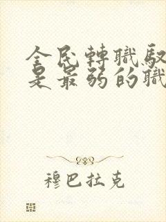 全民转职驭龙师是最弱的职业小说