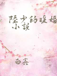 陆少的暖婚新妻 小说