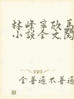 林峰宁欣马邦国小说全文阅读免费阅读