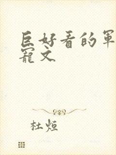 巨好看的军旅甜宠文