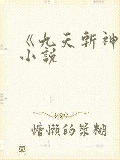 《九天斩神诀》小说