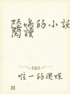 陆鸣的小说免费阅读