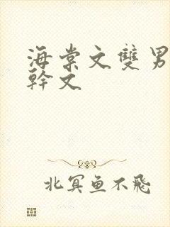 海棠文双男主高干文