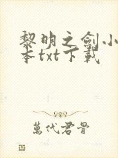 黎明之剑小说全本txt下载