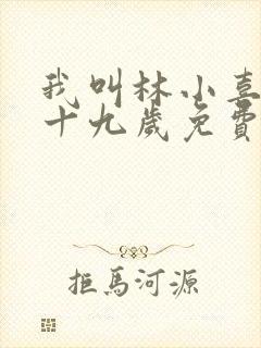 我叫林小喜今年十九岁免费阅读小说