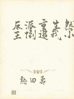 反派重生然后女主倒追我小说