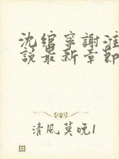 沈绾宁谢淮今小说最新章节免费阅读