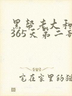 黑帮老大和我的365天第二部