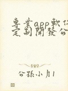 专业app软件定制开发公司