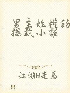 男主姓权的霸道总裁小说