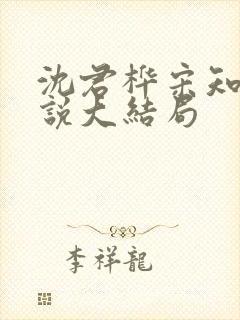 沈君桦宋知慧小说大结局