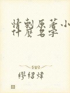 情刺原著小说叫什么名字