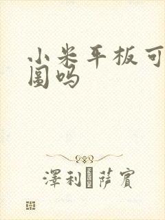 小米平板可以画图吗