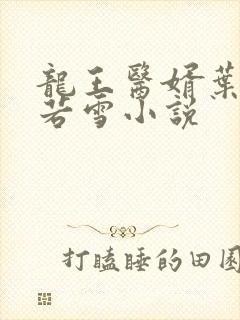 龙王医婿叶凡唐若雪小说