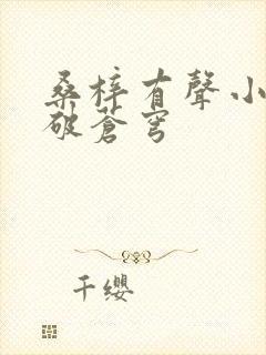 桑梓有声小说斗破苍穹