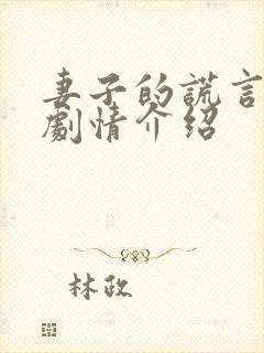 妻子的谎言分集剧情介绍