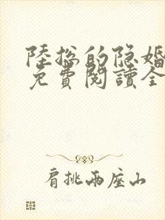 陆总的隐婚娇妻免费阅读全