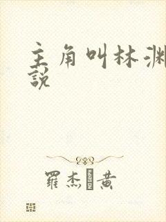 主角叫林渊的小说