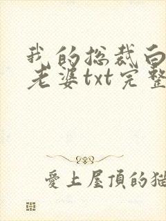 我的总裁白富美老婆txt完整无错版