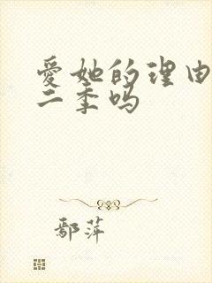 爱她的理由有第二季吗