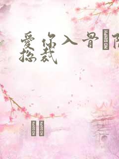 爱你入骨·隐婚总裁