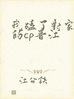我磕了对家x我的cp晋江