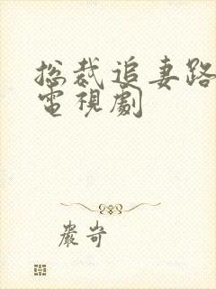 总裁追妻路漫漫电视剧