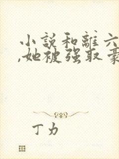 小说和离六年后,她被强取豪夺了在线阅读