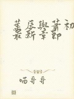 叶辰与萧初然的最新章节