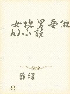 女攻男受做哭(h)小说