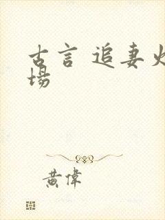 古言 追妻火葬场