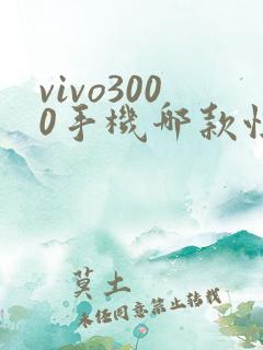 vivo3000手机哪款性价比高 质量好