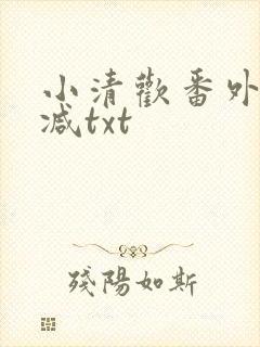 小清欢番外未删减txt