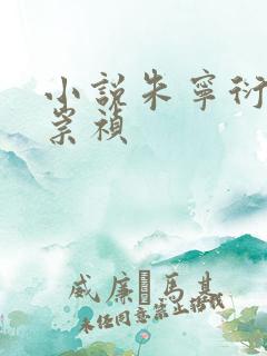 小说朱宁衍穿越崇祯