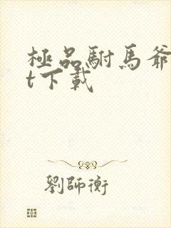 极品驸马爷txt下载