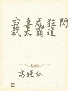 宠妻成狂闪婚总裁太霸道