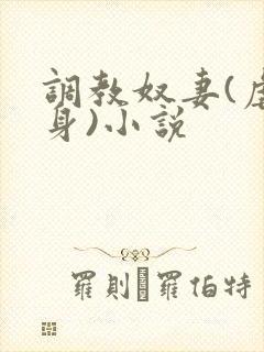 调教奴妻(虐女身)小说