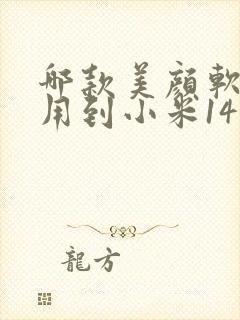 哪款美颜软件能用到小米14微信视频里