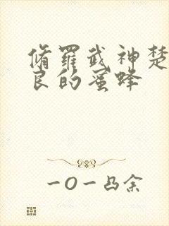 修罗武神楚枫善良的蜜蜂