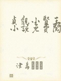 贞观小贤王李慎小说免费阅读