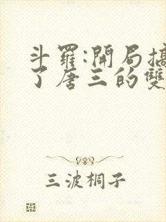 斗罗:开局搞没了唐三的双生武魂小说