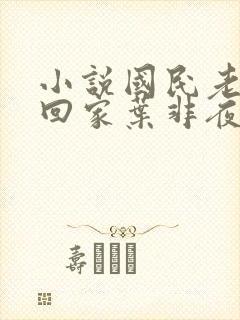 小说国民老公带回家叶非夜