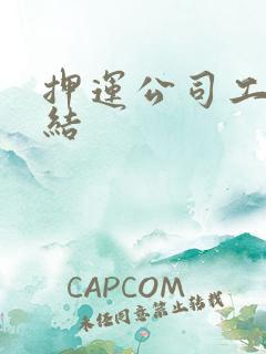 押运公司工作总结