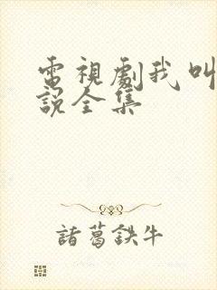 电视剧我叫刘传说全集