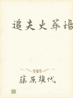 追夫火葬场的受