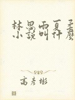 林思雨夏柔霍安小说叫什么名字